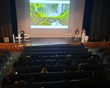 17ª edición del pitching 